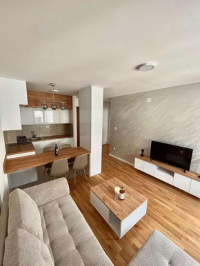 Tina Apartman Sokobanja